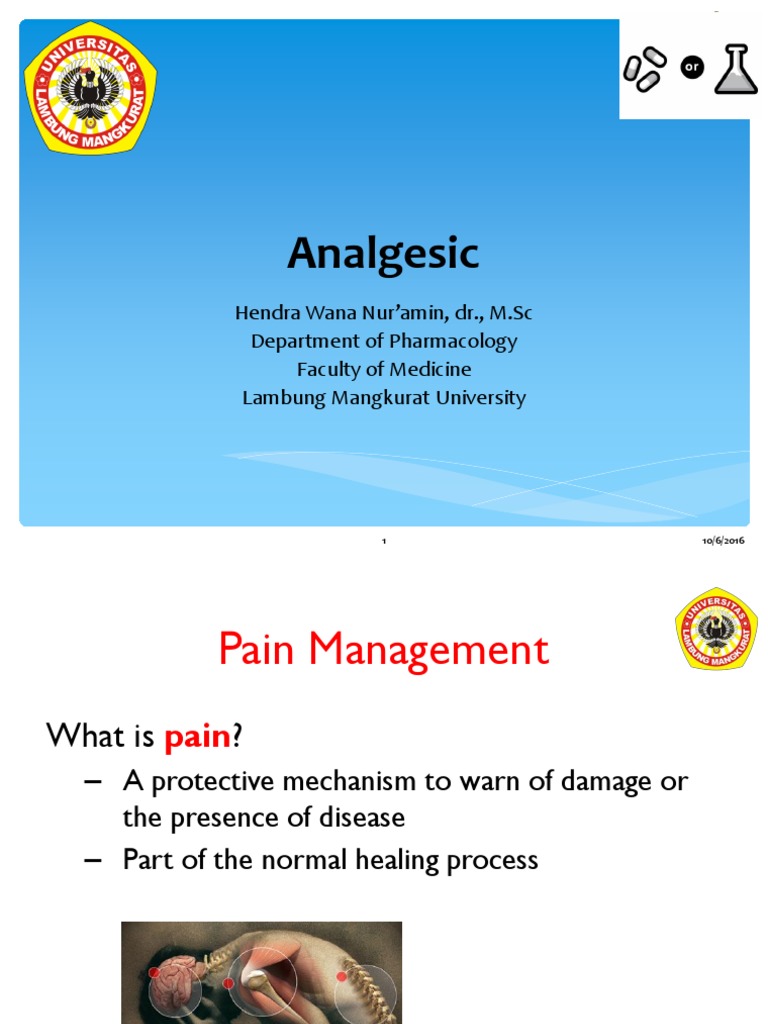 Analgetika | Nonsteroidal Anti Inflammatory Drug | Opioid