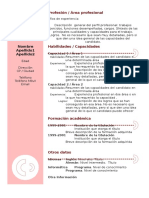 Curriculum Vitae Modelo3b Granate