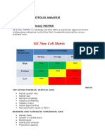 Corporate Portfolio Analysis