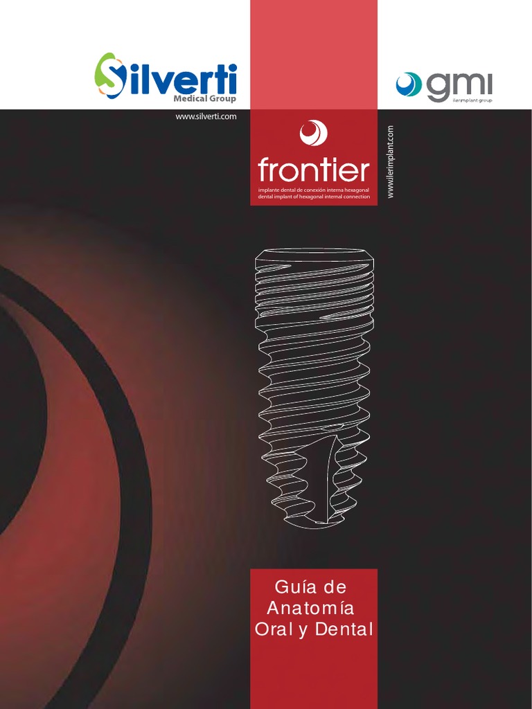 Guia De Anatomia Oral Y Dental Web Pdf Pdf