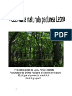 Rezervatia Naturala Padurea Letea