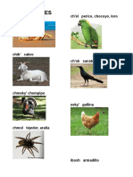 ANIMALES en Mam y Español