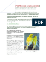 Standar Canarios Lipocromos.pdf