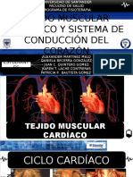 Tejido Muscular Cardíaco y Ciclo Cardíaco