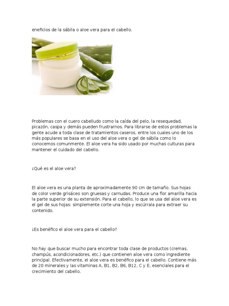 Beneficios de La Sábila o Aloe Vera para El Cabello | PDF | Champú | Pelo