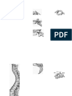 Ficha de Columna y Tórax