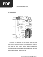 Download Patofisiologi Fraktur by prawithasari SN34822066 doc pdf