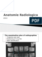Anatomie Radiologica 2013