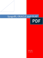 SpagoBI With ORACLE 11g PDF