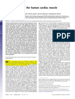 ing.pdf