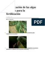 La Aplicación de Las Algas Marinas para La Fertilización