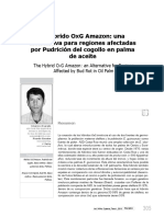 ASD Hibrido OxG Amazon 2013.pdf