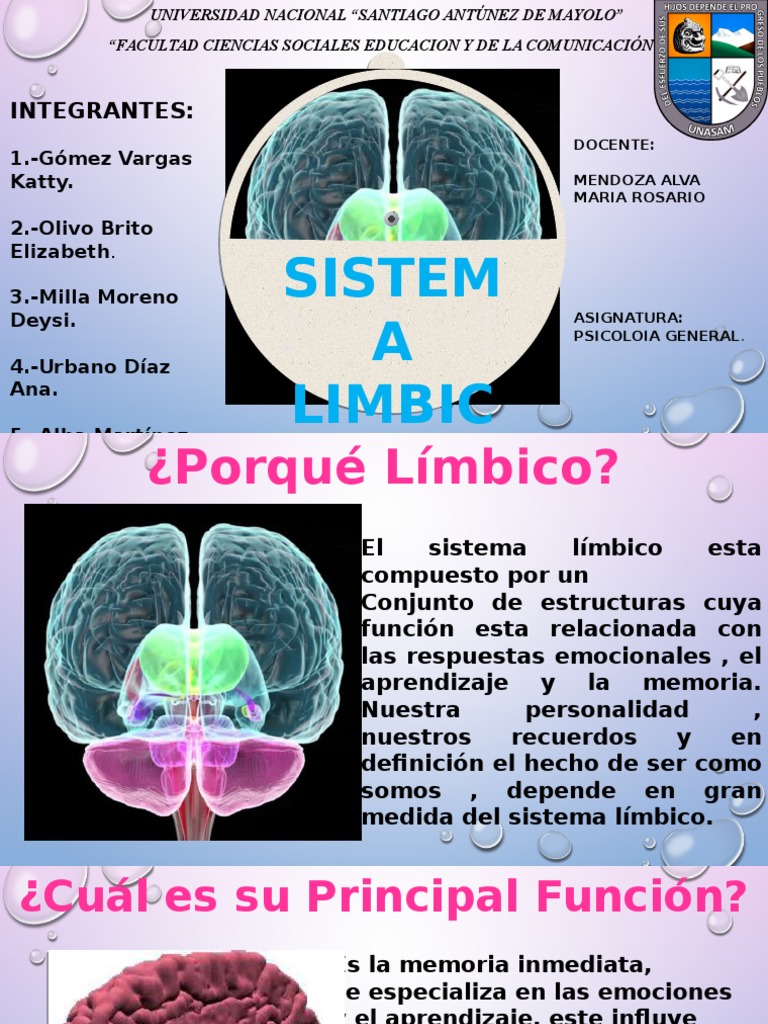 Sistema Limbico Autoguardado | PDF | Hemisferio cerebral | Sistema límbico, image size:768x1024