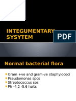 Integumentary Sysytem