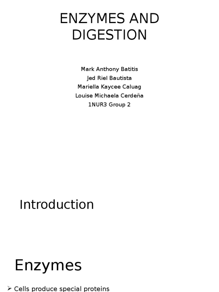 Enzymes in Human Digestion Explained | PDF | Digestion | Enzyme
