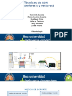 Técnicas ADN electroforesis vectores