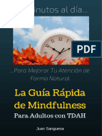 MindfulnessParaAdultosconTDAH.pdf