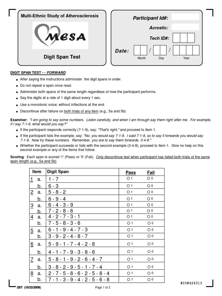 V5 Mesa Digit Span Test Data Collection Test Assessment