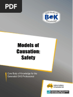 32 Models of Causation Safety
