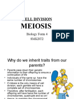 Cell Division: Meiosis