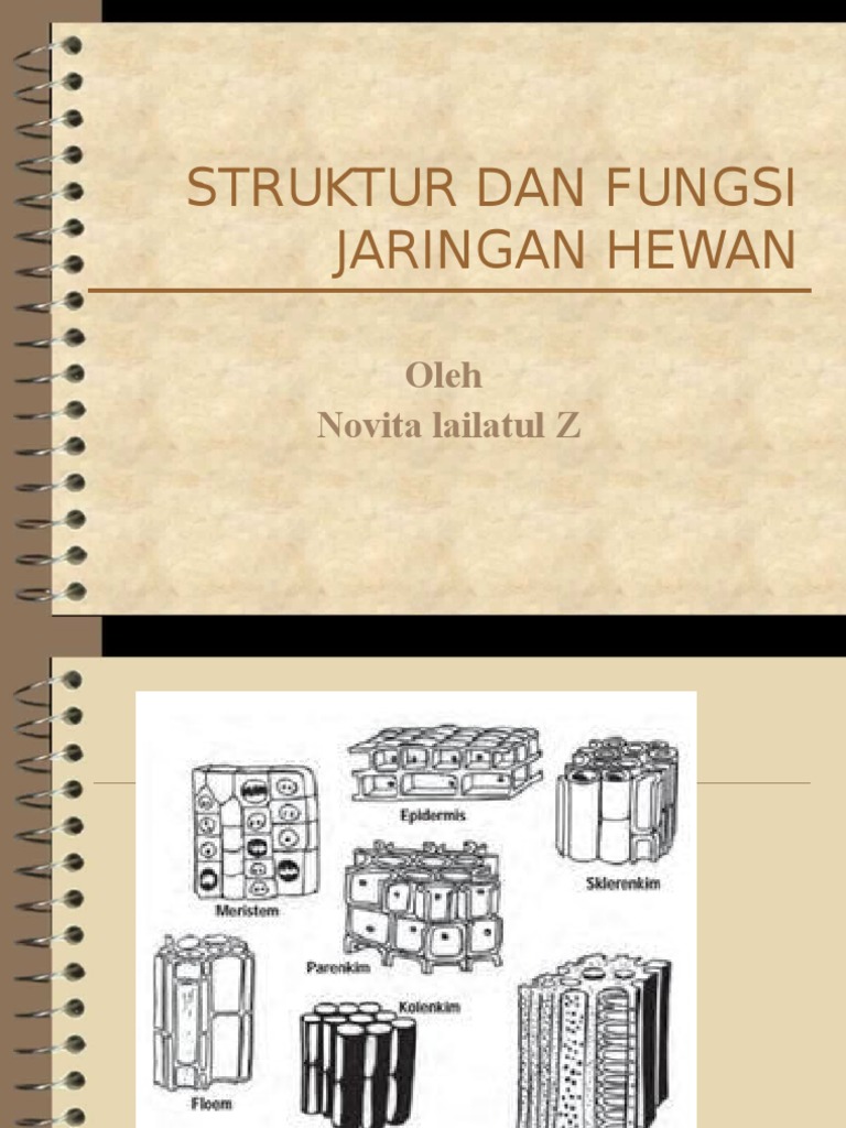 ppt jaringan hewan ppt jaringan hewan
