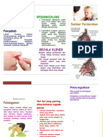 Leaflet Epsitaksis