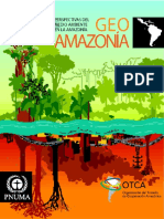 Geoamazonñia 2009.pdf