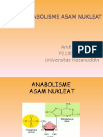Anabolisme As. Nukleat