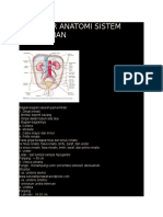 Struktur Anatomi Sistem Perkemihan