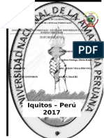 Informe 01 - Práctica Meteorología UNAP