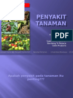DPT - 04a Penyakit Tanaman