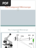 The Microscope