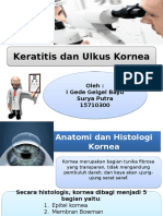 Keratitis