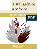 El Maiz Transgenico en Mexico