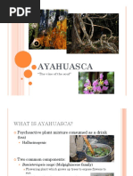 Ayahuasca - English