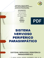 Sistema Nervioso Periferico Parasimpático