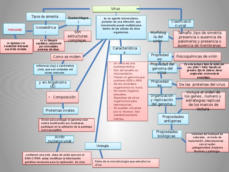 clasificacion de las artes mapa conceptual.pptx Virus Adn