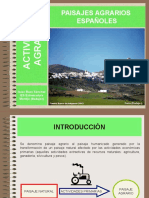 Tema 13 Los Paisajes Agrarios