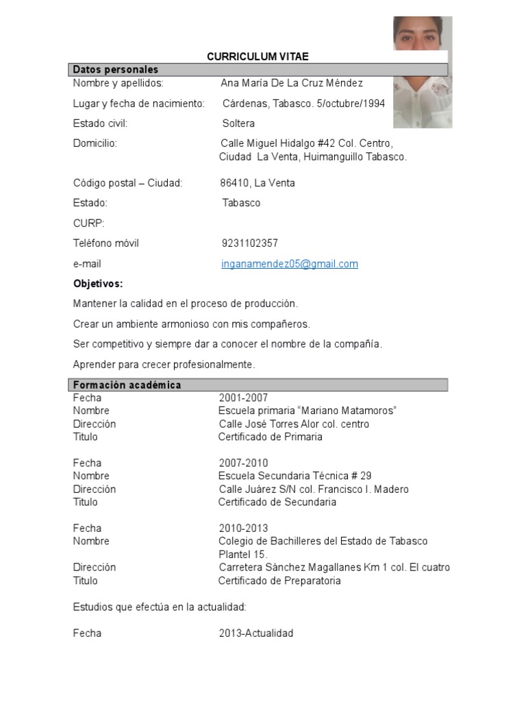 Cv template excel free download 2020 image