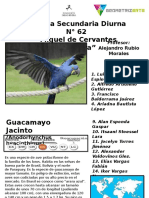 Ficha Tecnica 1 Guacamayo Jacinto