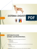 Digestivo I