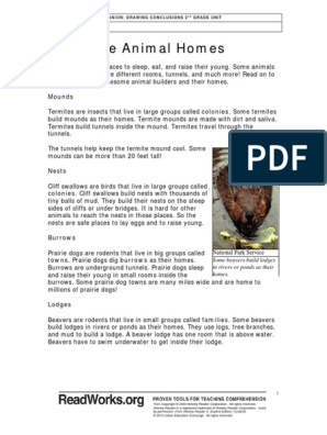 Awesome Animal Homes Passage | PDF