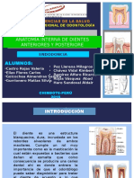 Endodoncia