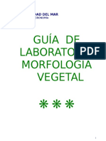 Lab. Morfologia  Vegetal 2002.doc