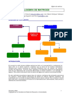 Algebra Matrices