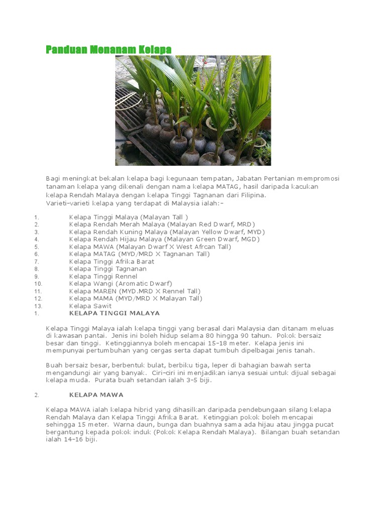 Panduan Menanam Kelapa  PDF