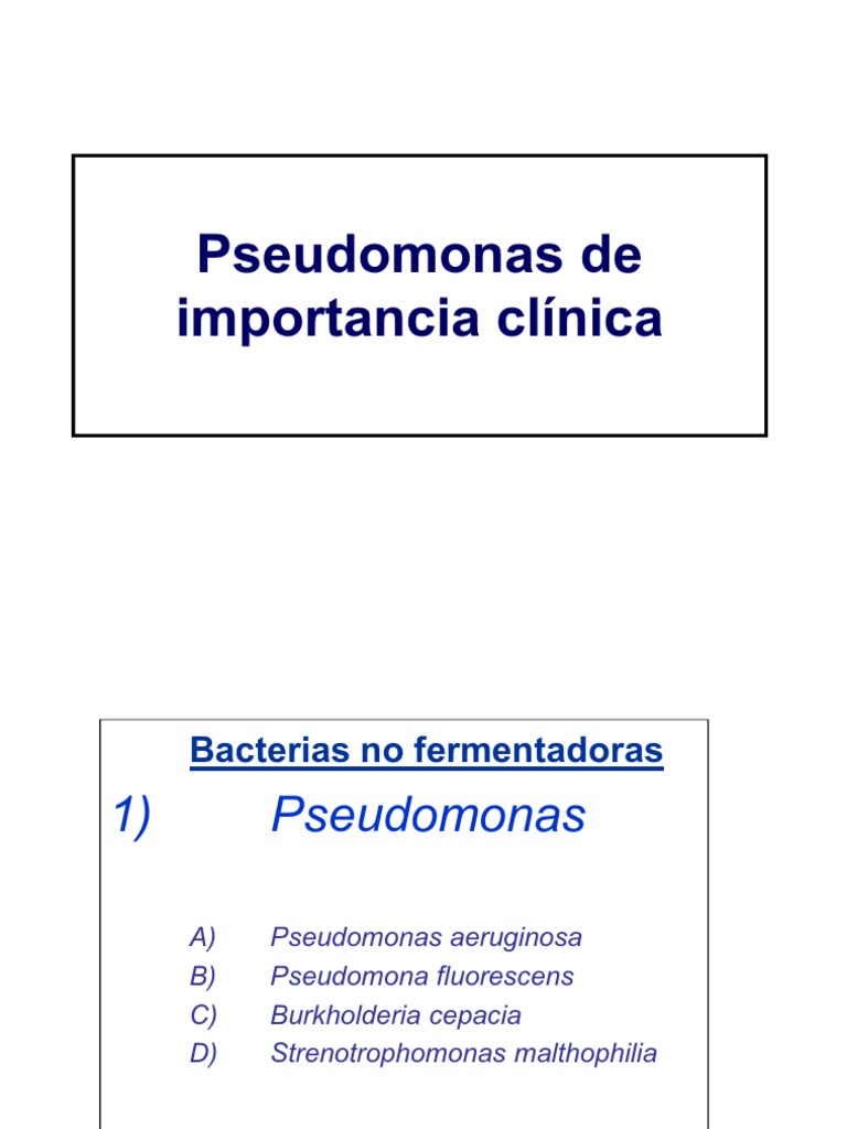 Literature Review On Pseudomonas Aeruginosa