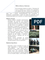 PNIA_Raices_Tuberosas(1).pdf