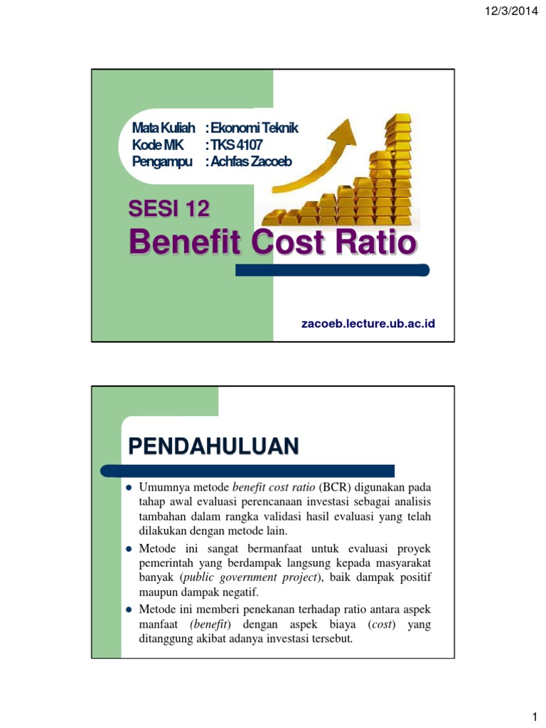 12 Benefit Cost Ratio PDF