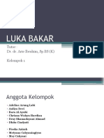 Luka Bakar